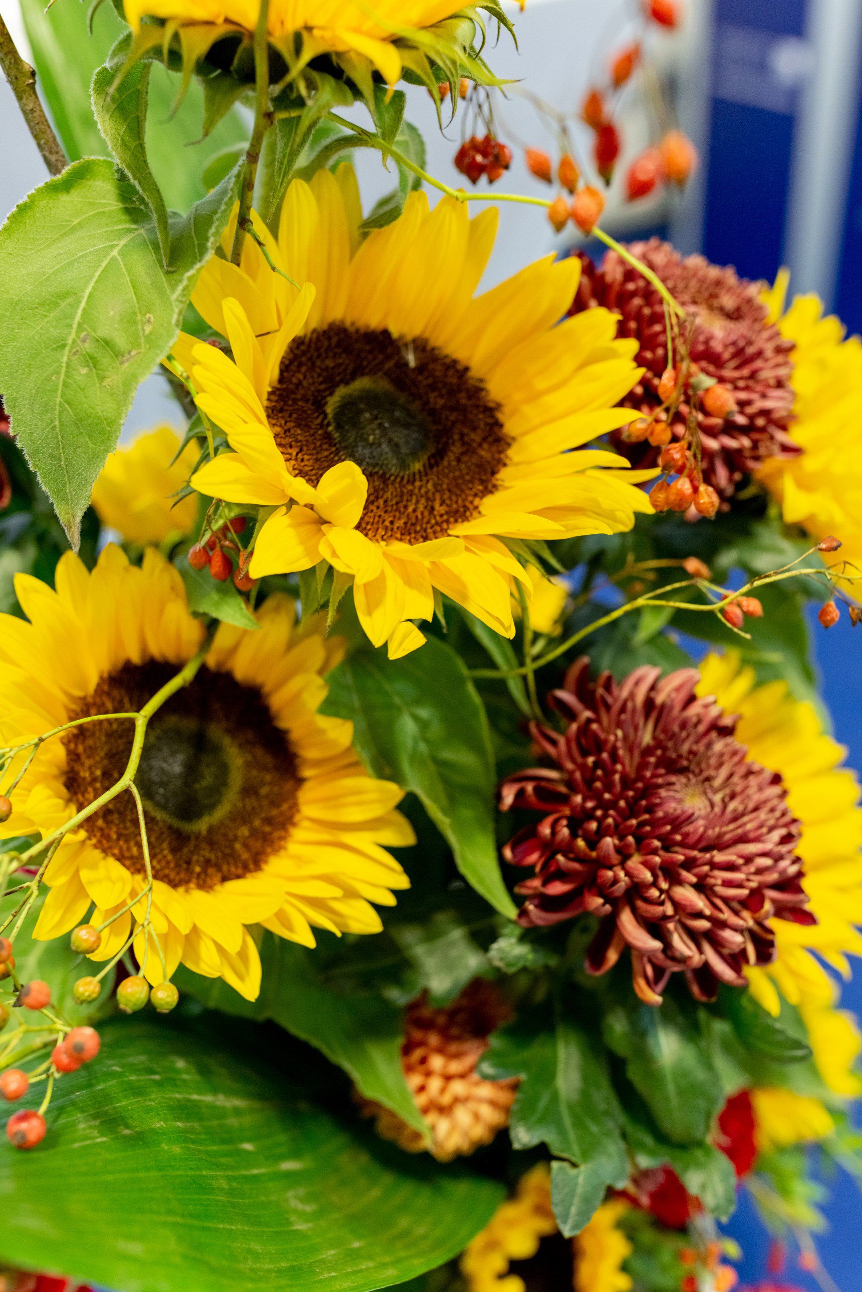 Hegerich Immobilien auf der Messe