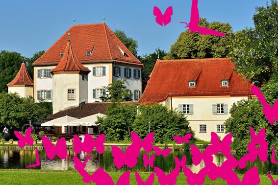 Fun Facts Obermenzing: Schmetterlinge