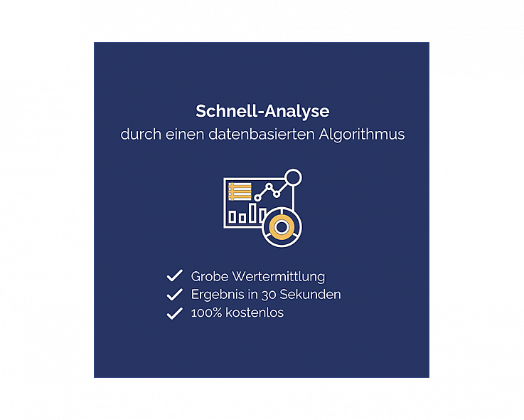 Schnell-Analyse