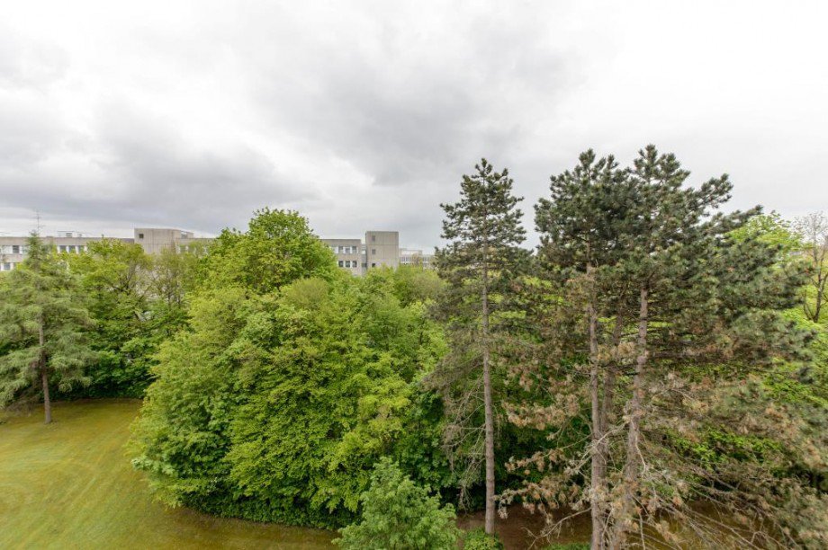 Blick ins Gr�ne Wohnung M�nchen