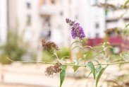 F�rths Experten f�r Immobilienvermittlung