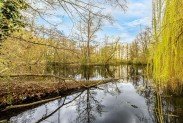 Umlegungsverfahren N�rnberger Experten f�r Immobilien