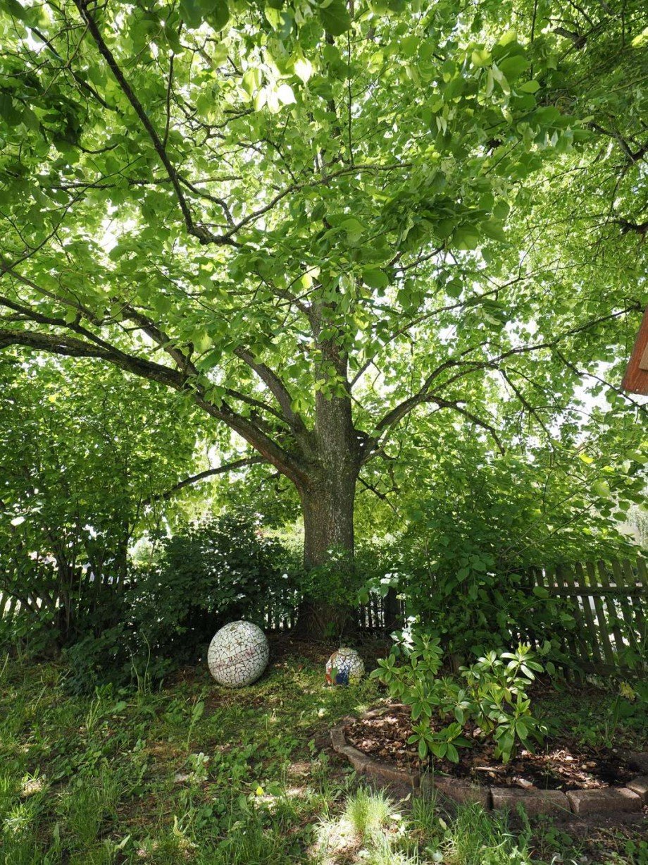 Garten Einfamilienhaus M�hlhausen