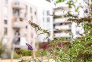 Energieausweispflicht Immobilienagentur f�r N�rnberg