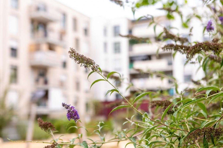 Au�enansicht Erdgeschosswohnung N�rnberg
